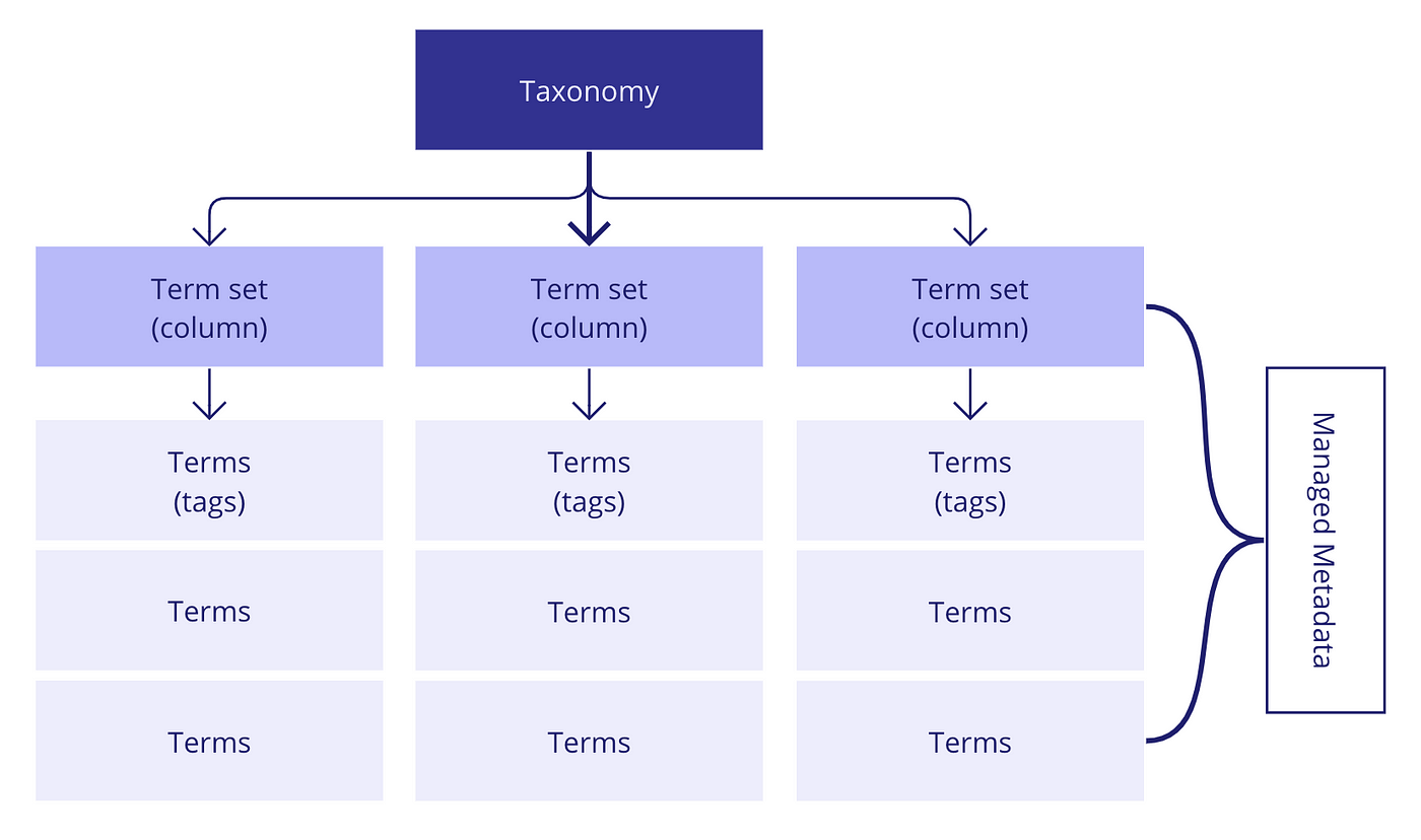 Workflow of of metadata showing Taxonomy at the top leading down to Term sets and then Terms